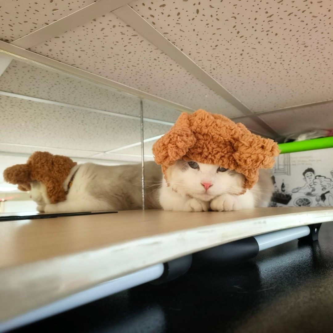 邁入2023，回顧一下2022這一年